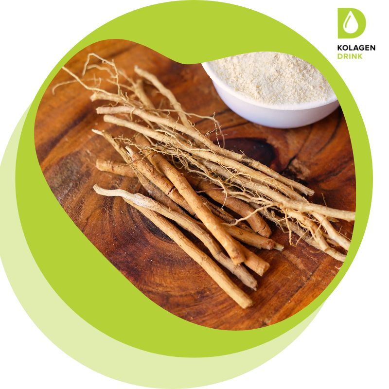 ashwagandha ABSORBii